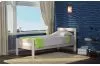 Кровать DreamLine Кредо (Ясень)