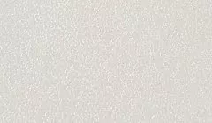 OrtoFoam